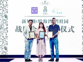 TF随舞：探寻舞蹈与科技融合的无限魅力